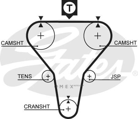 OEM BELT, TIMING 5273XS