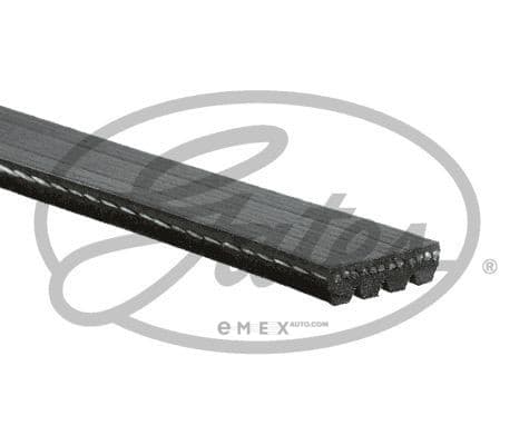 OEM BELT, V 4PK803