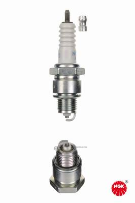 OEM SPARK PLUG 5541