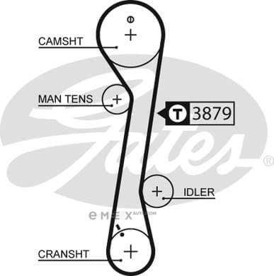 OEM BELT, TIMING 5457XS