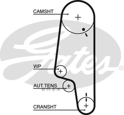 OEM BELT, TIMING 5428XS