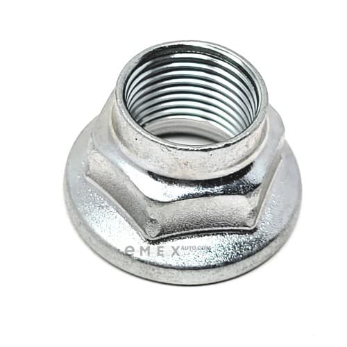 OEM NUT, W/WASHER 9017918020