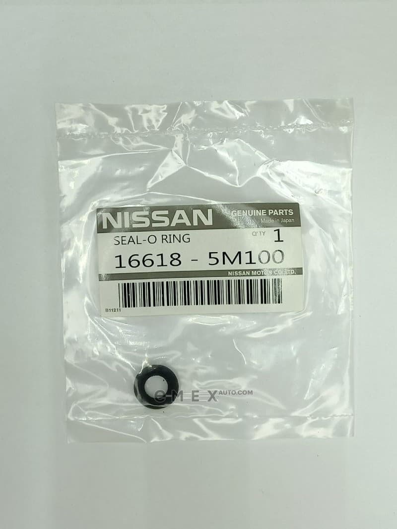 OEM O RING 166185M100