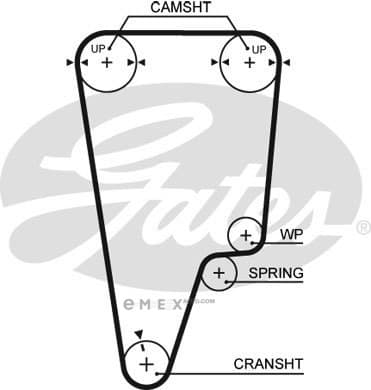 OEM BELT, TIMING 5505XS