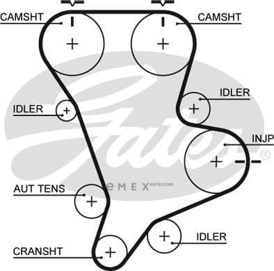 OEM BELT, TIMING 5583XS