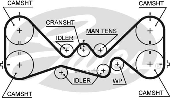 OEM BELT, TIMING 5384XS