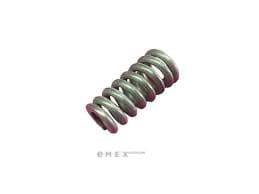 OEM VALVE SPRING, COMPRESSION 2007495F0A