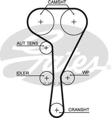 OEM BELT, TIMING 5550XS