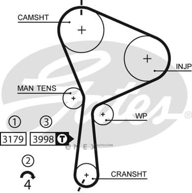 OEM BELT, TIMING 5610XS