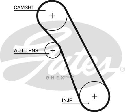 OEM BELT, TIMING 5541XS