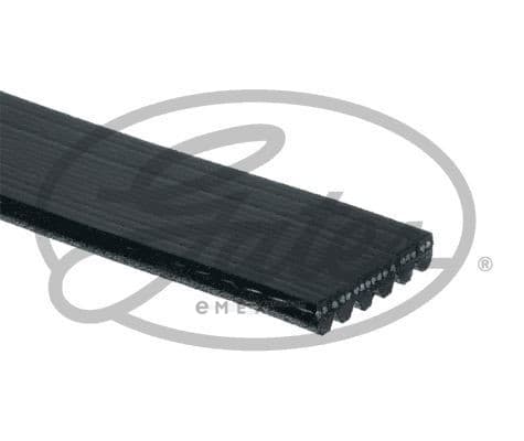 OEM BELT, V K061015