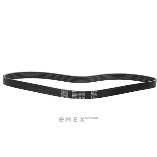 OEM BELT, V 6PK1035