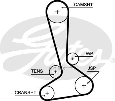 OEM BELT, TIMING 5645XS