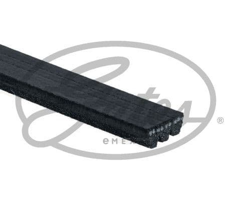 OEM BELT, V 3PK817SF