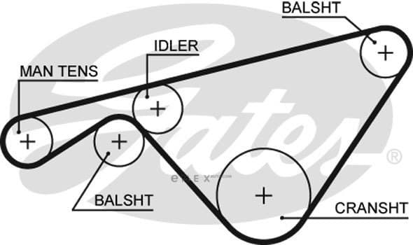 OEM BELT, TIMING 5463XS