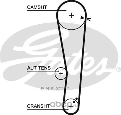 OEM BELT, TIMING 110STS22