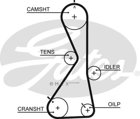 OEM BELT, TIMING 5481XS