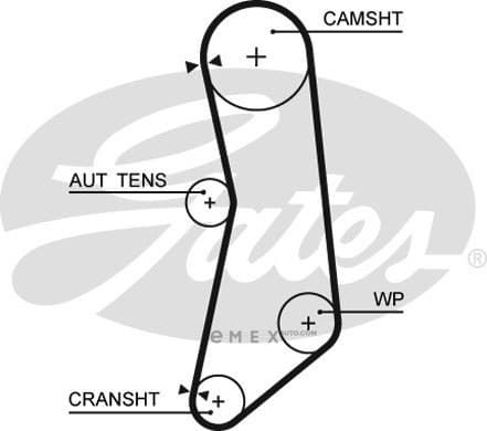 OEM BELT, TIMING 5627XS