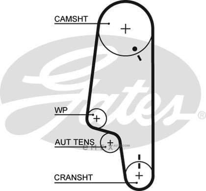 OEM BELT, TIMING 5427XS