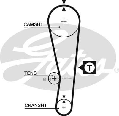 OEM BELT, TIMING 5122