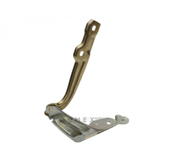 OEM HINGES 5E0823302