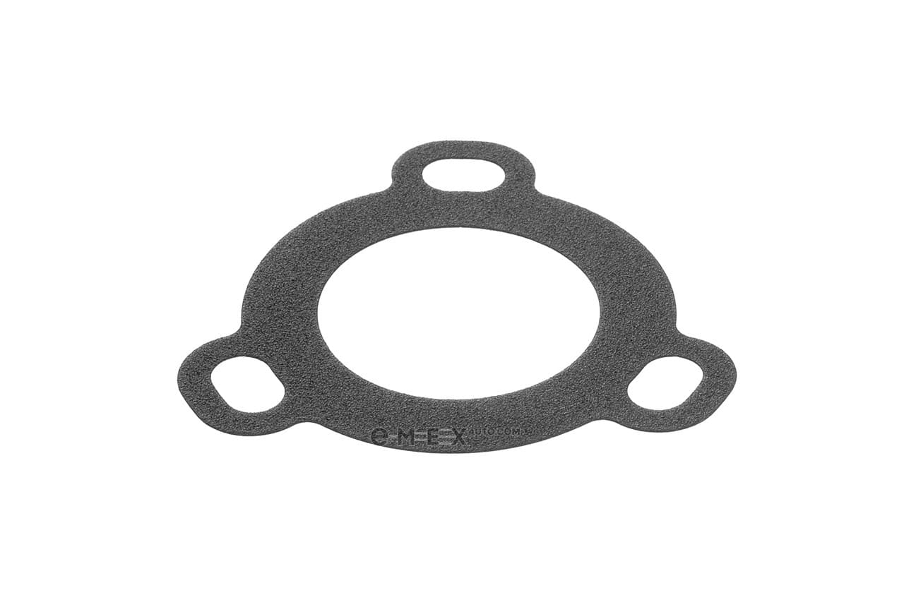 OEM GASKET 1769969G00