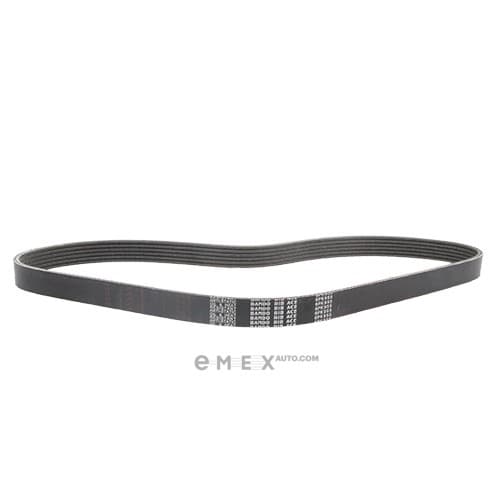 OEM BELT, V 6PK955