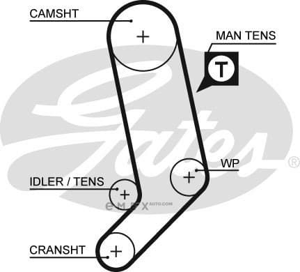 OEM BELT, TIMING 5323XS