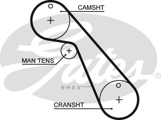 OEM BELT, TIMING 5209