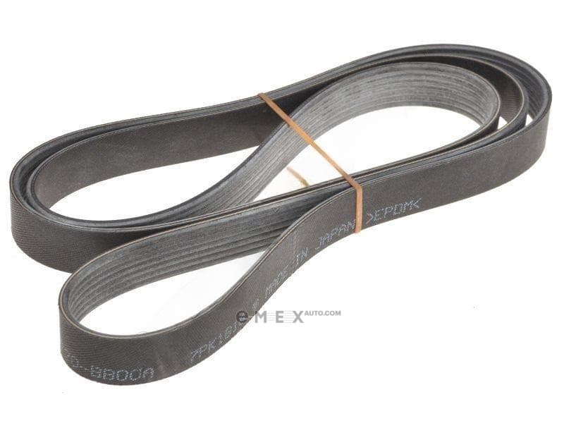 OEM BELT, V 11720BB00A