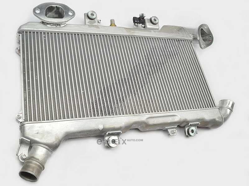 OEM INTERCOOLER ASSY, 1790051020