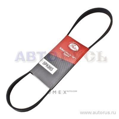 OEM BELT, V 5PK865