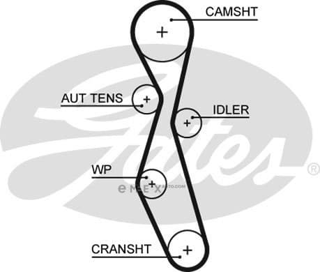 OEM AR-SYNCHRONOUS BELTS 5606XS