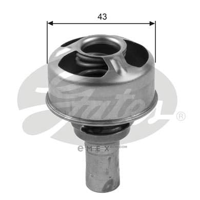 OEM TH36075