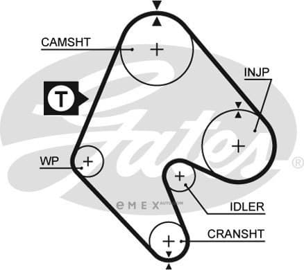 OEM BELT, TIMING 5048