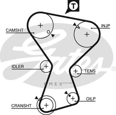 OEM BELT, TIMING 5375XS