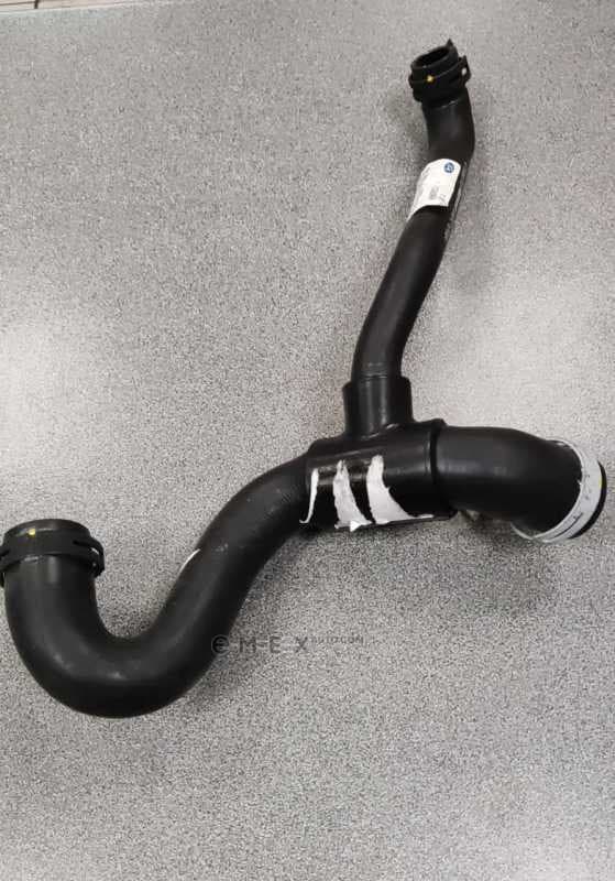 OEM HOSE ASY 1365998