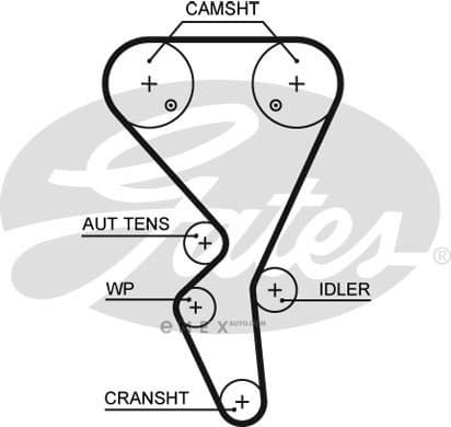 OEM BELT, TIMING 5581XS