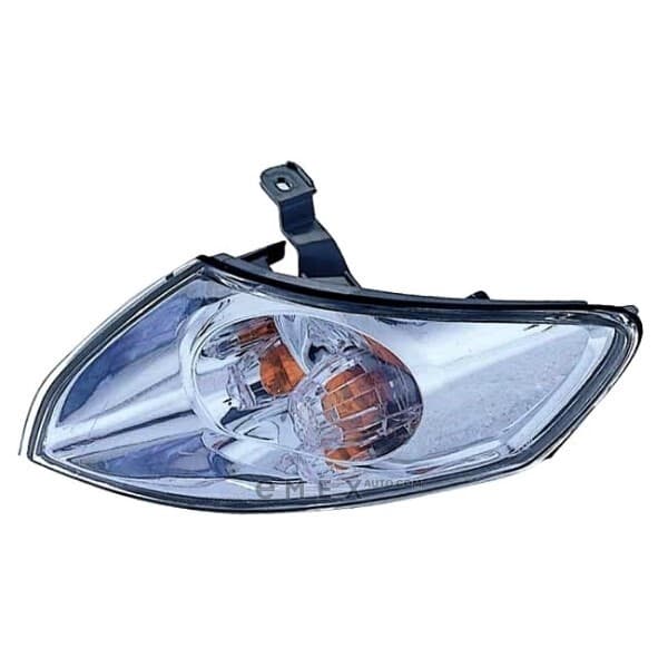 OEM LAMP ASSY, TURN SIGNAL 2161547LAE