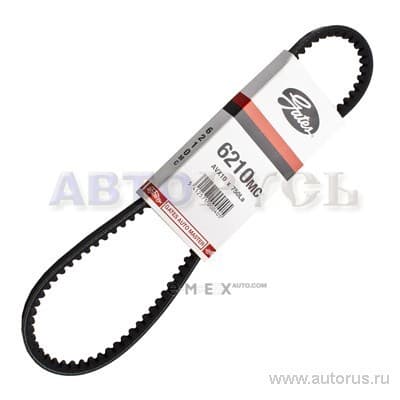 OEM BELT, TIMING 6210MC