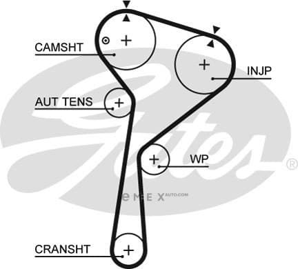 OEM BELT, TIMING 5578XS