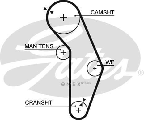 OEM BELT, TIMING 5352XS