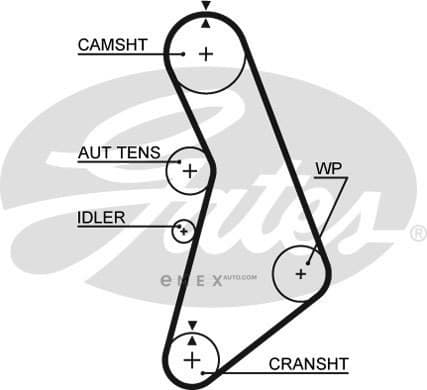 OEM BELT, V 5491XS