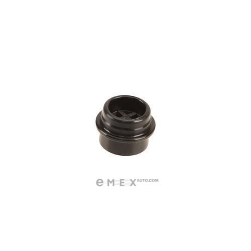 OEM PLUG, PLASTIC 55555985