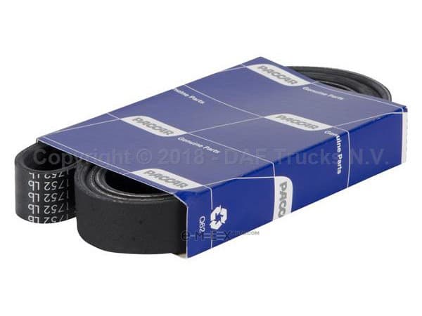 OEM BELT, V 1638698