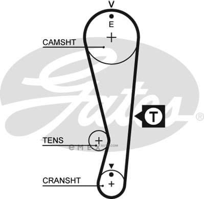 OEM BELT, TIMING 5318XS