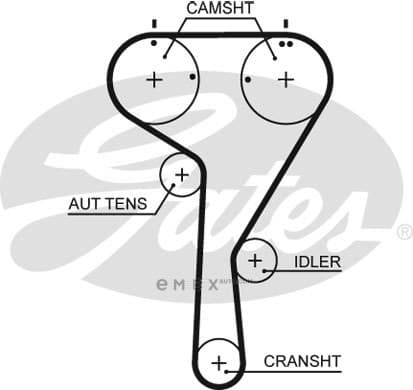 OEM BELT, TIMING 5680XS