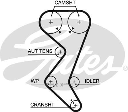 OEM BELT, TIMING 5528XS