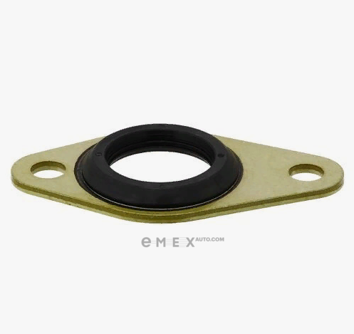 OEM GASKET, RUBBER 703733300