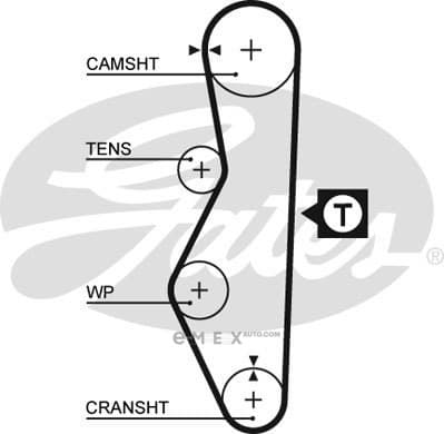 OEM BELT, TIMING 5521